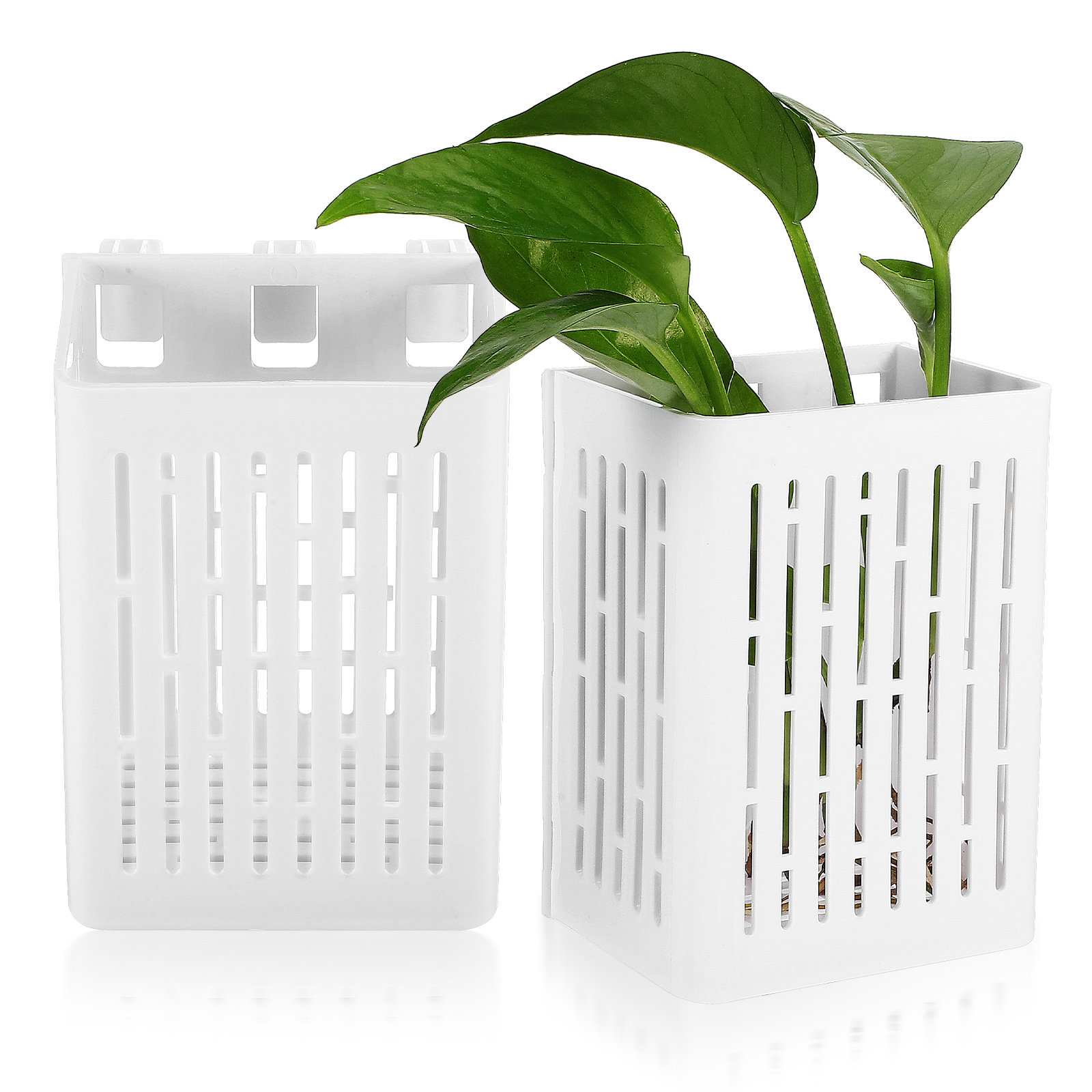 2pcs Aquarium Plant Baskets Pl - Aquarium Plants avis et prix