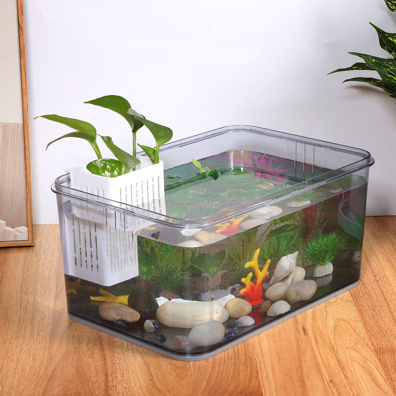 2pcs Aquarium Plant Baskets Pl - Aquarium Plants avis et prix