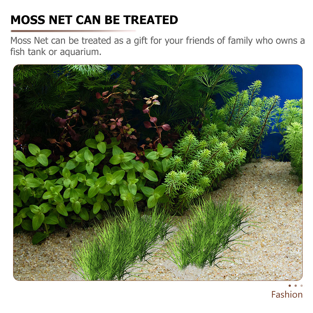 2Pcs Stainless Steel Moss Nets - Planted Aquarium Moss avis et prix