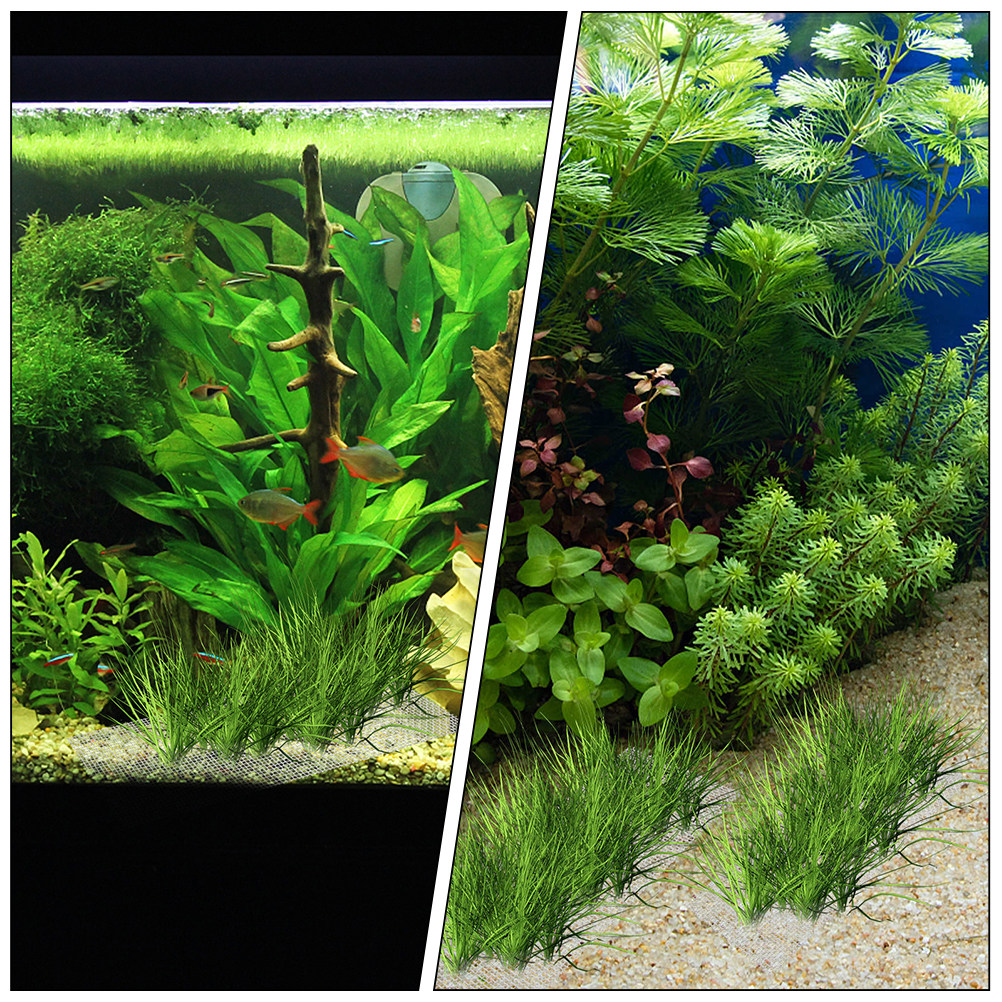2Pcs Stainless Steel Moss Nets - Planted Aquarium Moss avis et prix