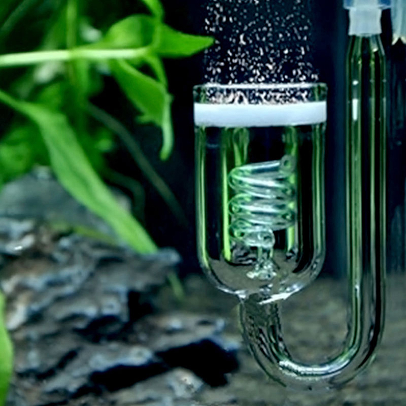 Atomizer Solenoid Regulator Mo - Planted Aquarium Moss avis et prix