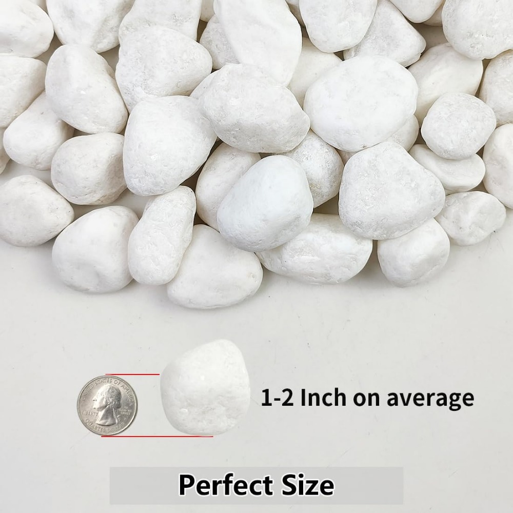 1-2 Inch White Pebbles for Ind - Aquarium Plants avis et prix