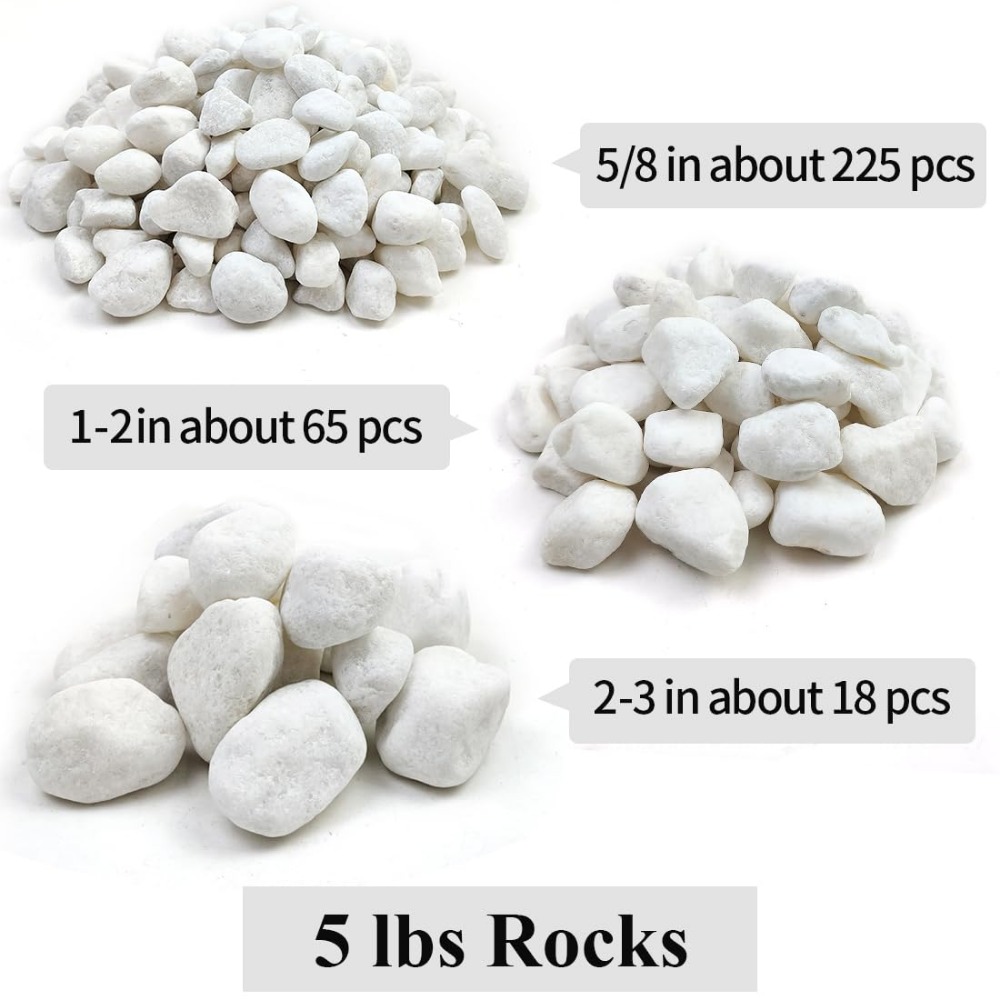 1-2 Inch White Pebbles for Ind - Aquarium Plants avis et prix