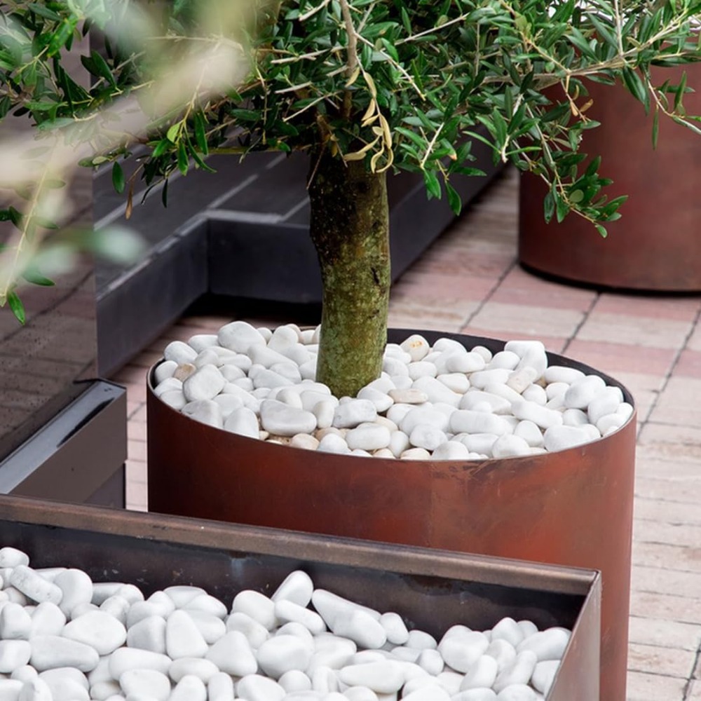 1-2 Inch White Pebbles for Ind - Aquarium Plants avis et prix