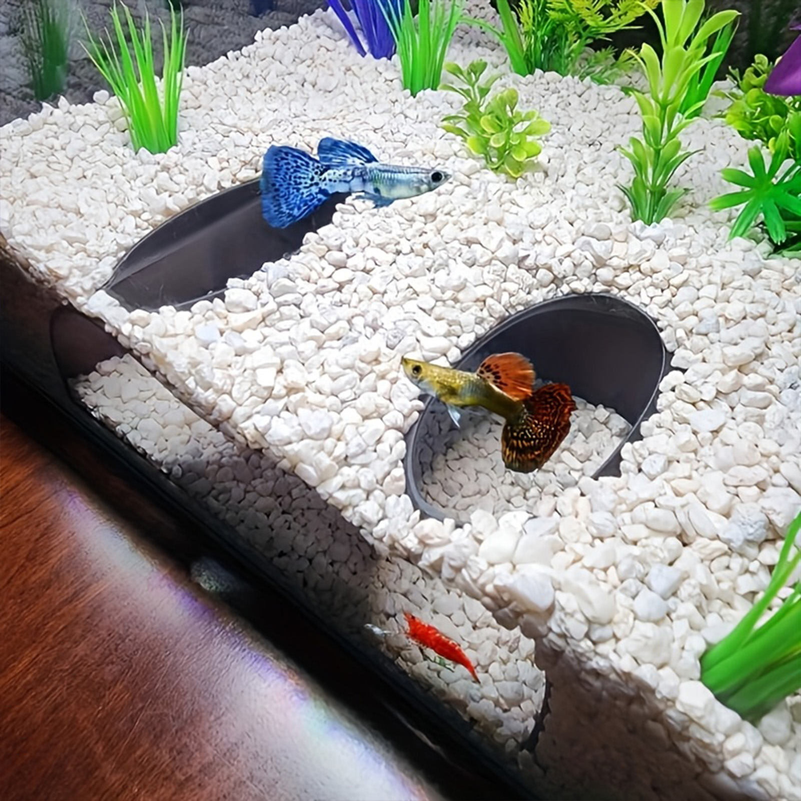 Aquarium Underground Tunnel Sh - Planted Aquarium With Gravel avis et prix