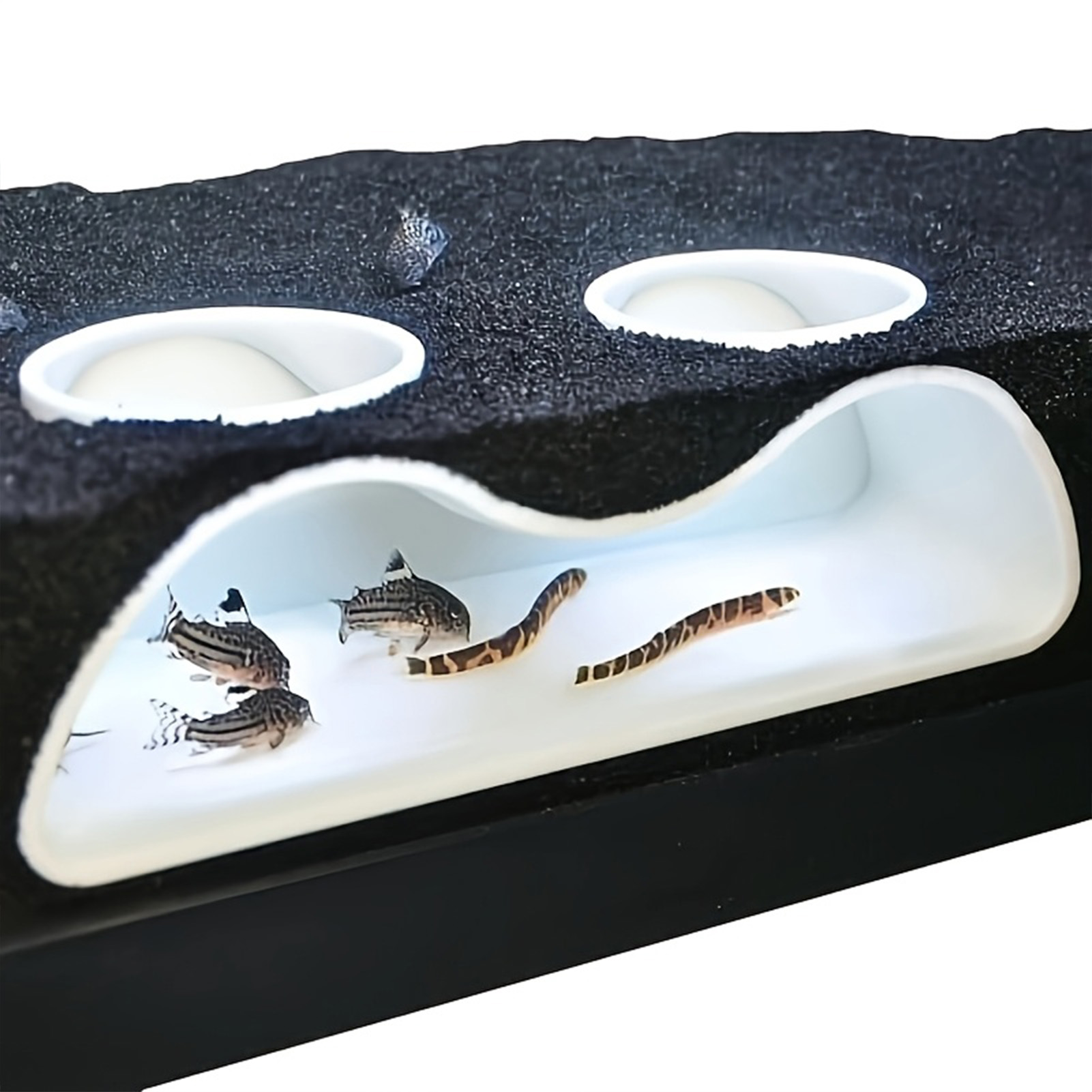 Aquarium Underground Tunnel Sh - Planted Aquarium With Gravel avis et prix