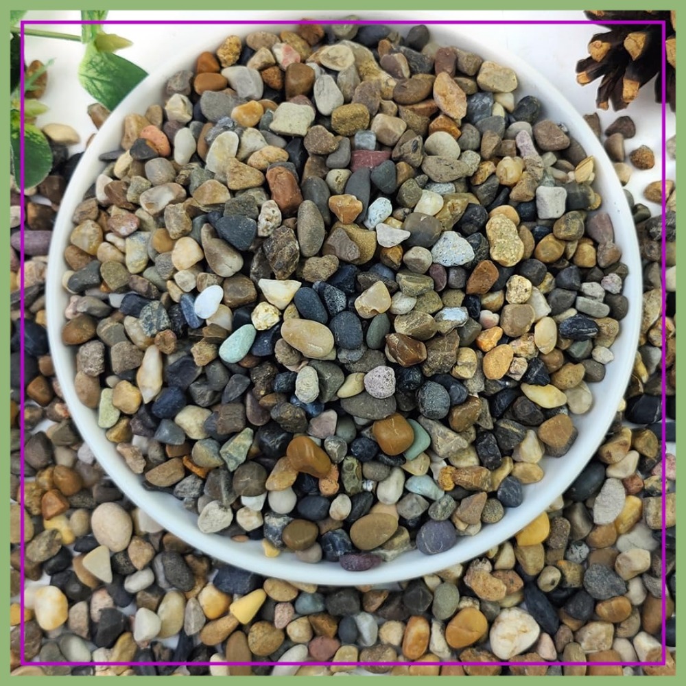 5lbs Natural River Gravel for  - Planted Aquarium With Gravel avis et prix