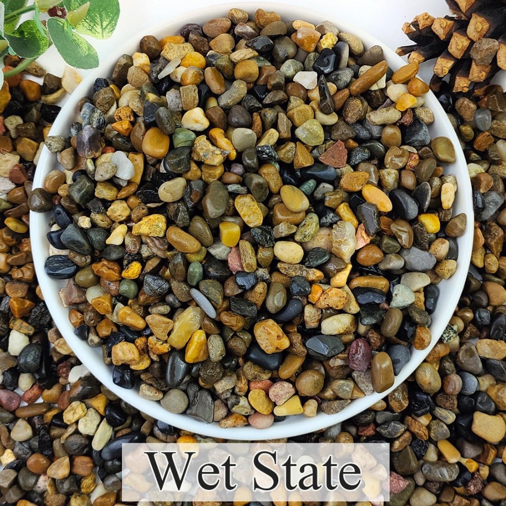 5lbs Natural River Gravel for  - Planted Aquarium With Gravel avis et prix