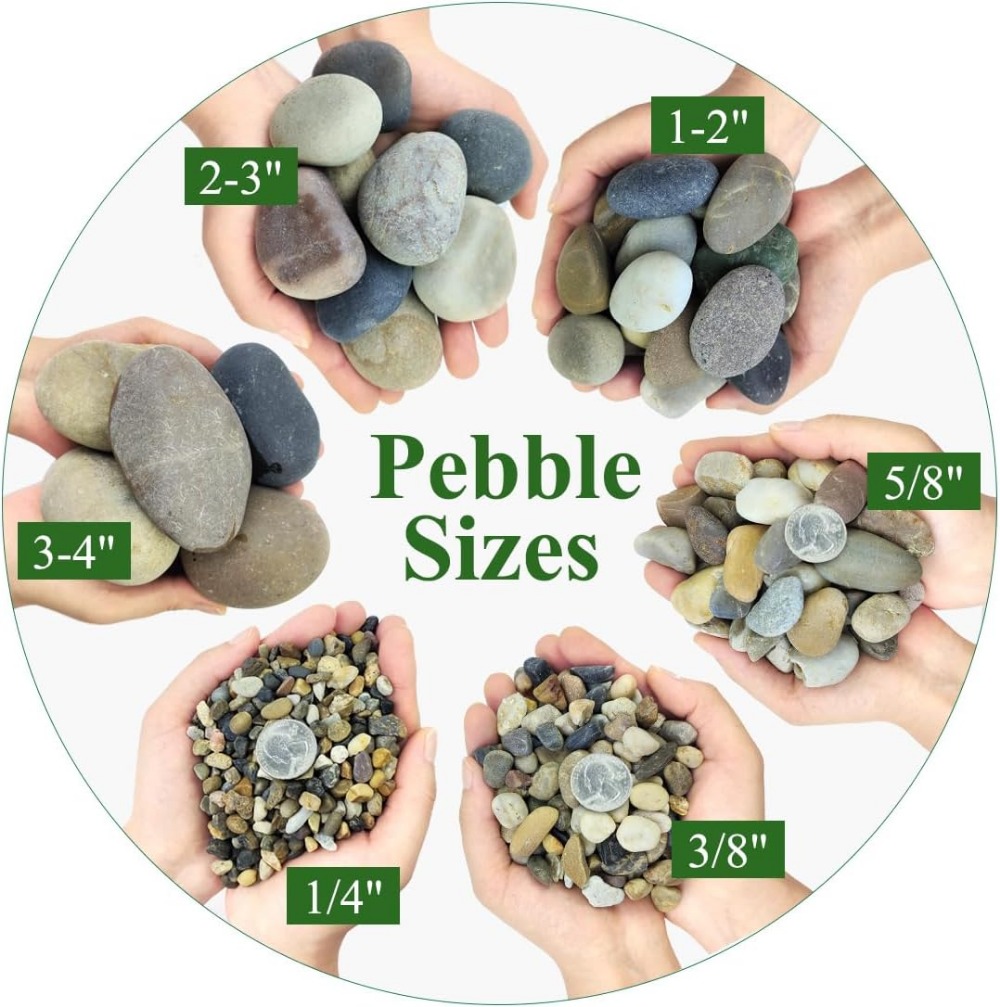 5lbs Natural River Gravel for  - Planted Aquarium With Gravel avis et prix