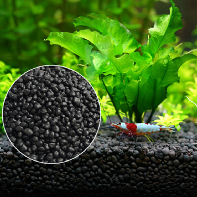Aquarium Plant Seeds Soil Fish - Planted Aquarium Freshwater avis et prix