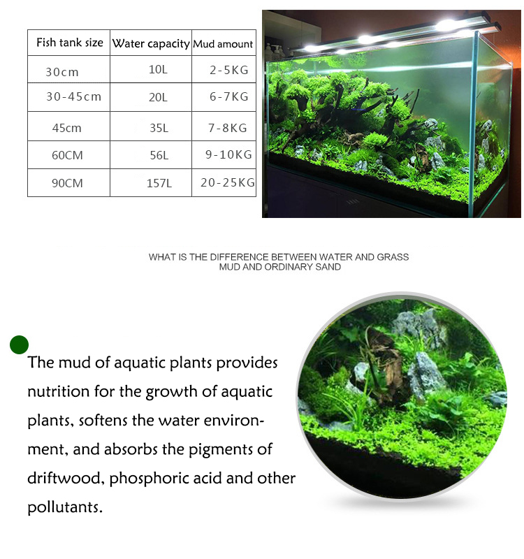 Aquarium Plant Seeds Soil Fish - Planted Aquarium Freshwater avis et prix