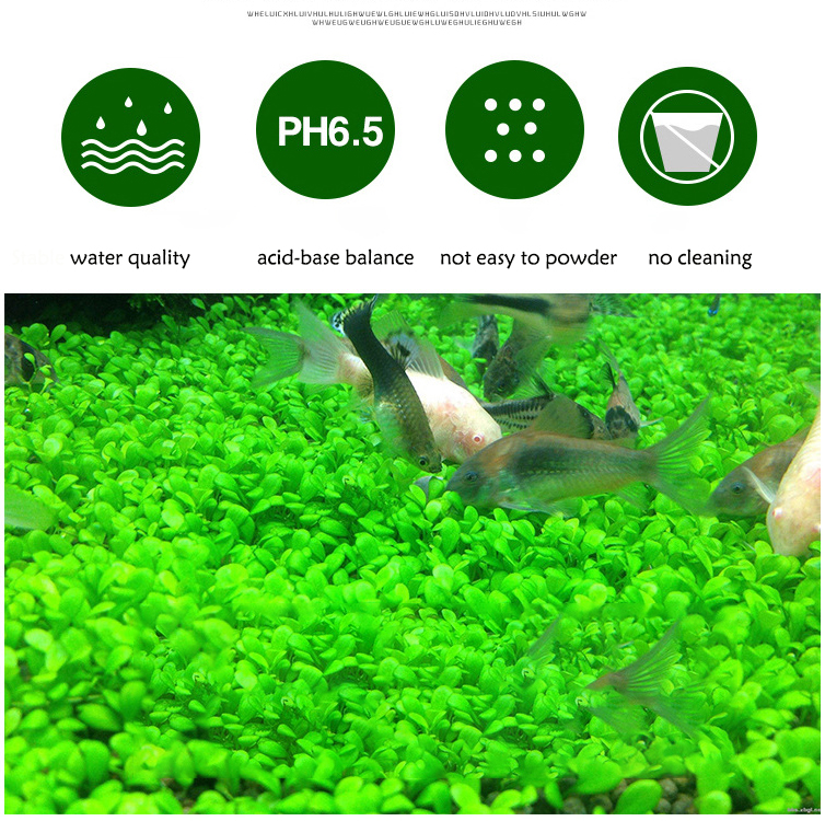 Aquarium Plant Seeds Soil Fish - Planted Aquarium Freshwater avis et prix