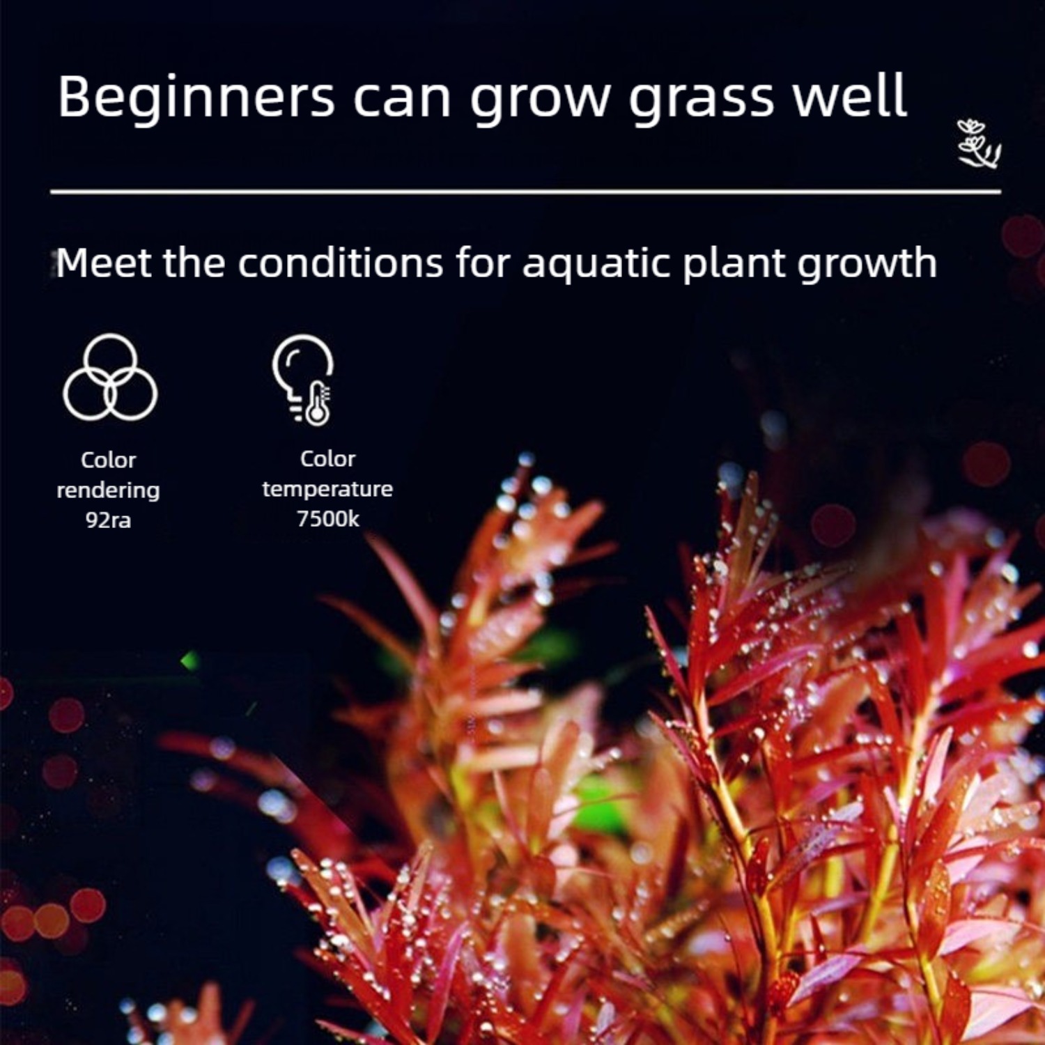 LED Aquarium Light for 12 Inch - Planted Aquarium Freshwater avis et prix