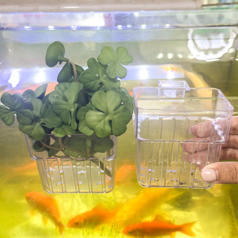 1/5pcs Aquarium Decoration Pla - Aquarium Plants avis et prix