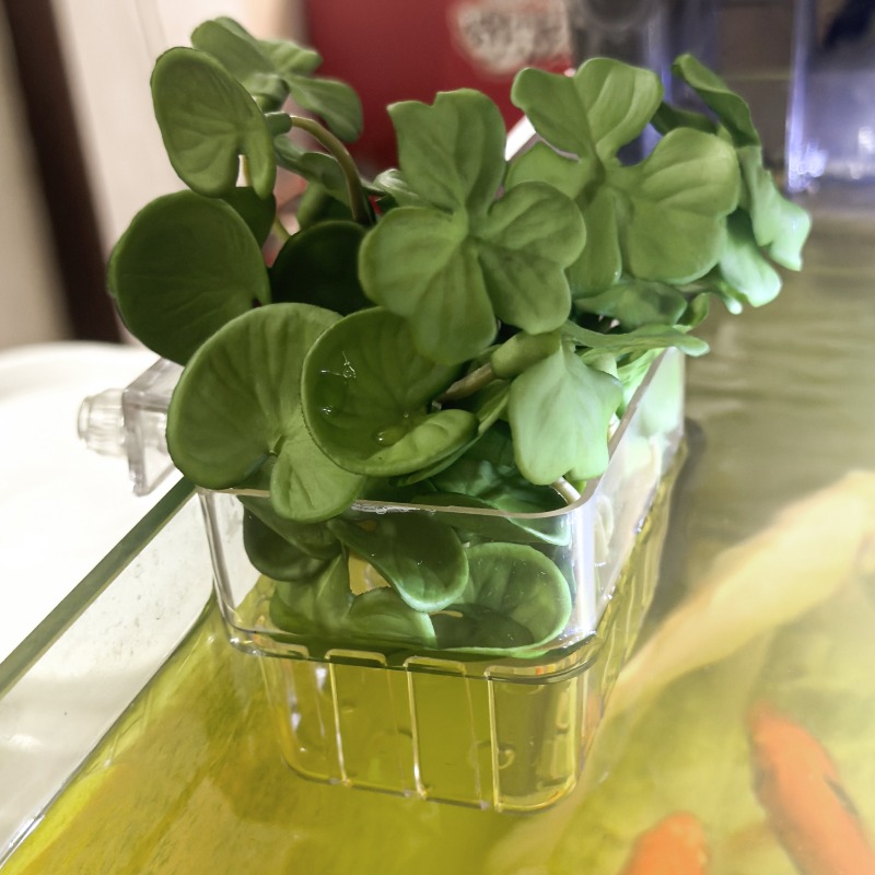 1/5pcs Aquarium Decoration Pla - Aquarium Plants avis et prix