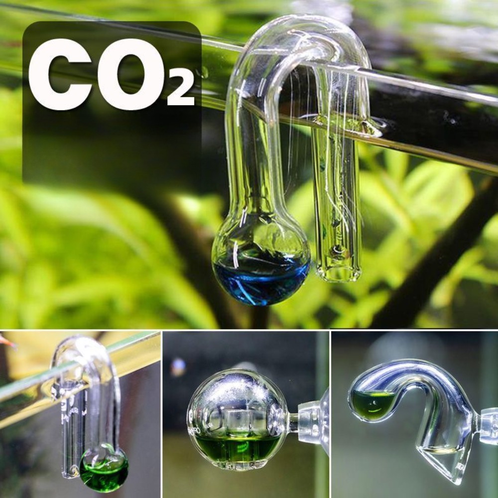 Diffuse Glass CO2 Drop Checker - Planted Aquarium Ph avis et prix