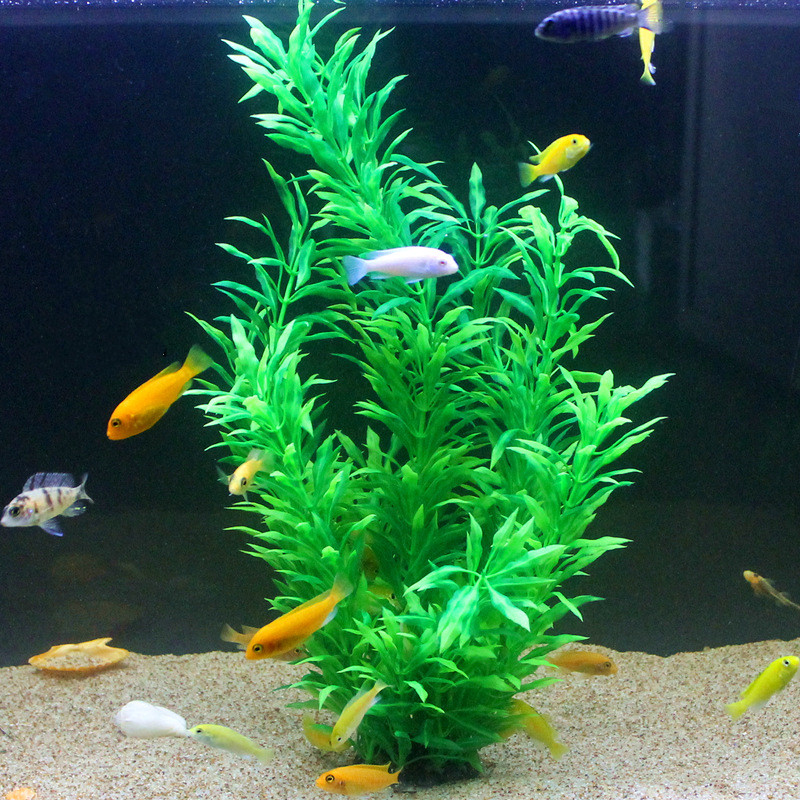 50CM Artificial Fish Tank Rare - Aquarium Plant Ornament avis et prix