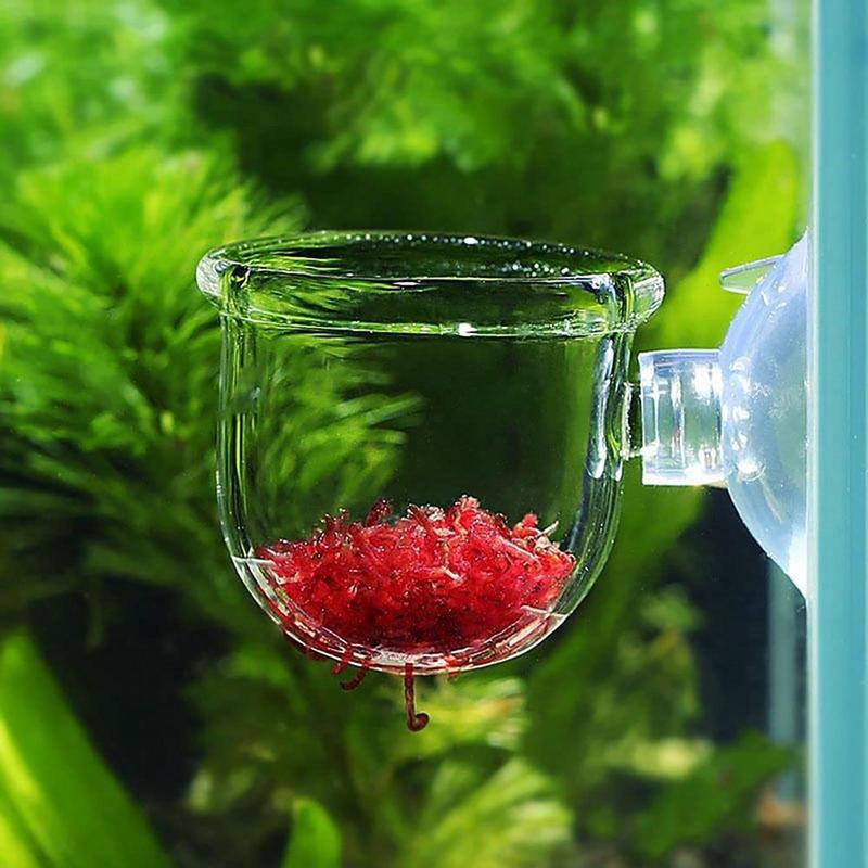 Fish Tank Decoration Accessory - Planted Aquarium Moss avis et prix