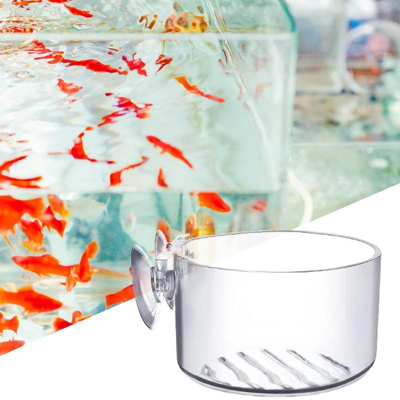 Fish Tank Decoration Accessory - Planted Aquarium Moss avis et prix