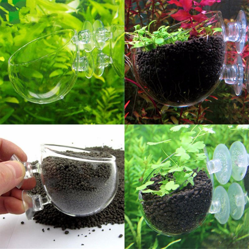 Aquarium Hanging Plant Pot Gla - Planted Aquarium Moss avis et prix
