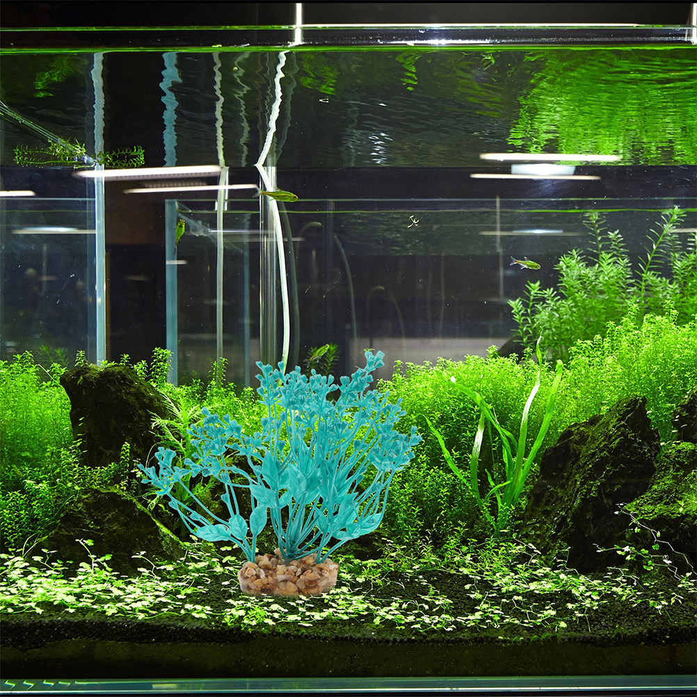 2Pcs Realistic Plastic Aquariu - Planted Aquarium Freshwater avis et prix