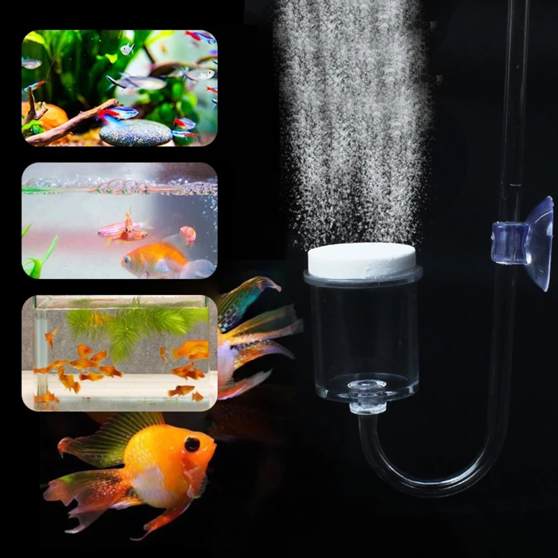4pcs Set DIY CO2 Diffuser For  - Planted Aquarium Moss avis et prix