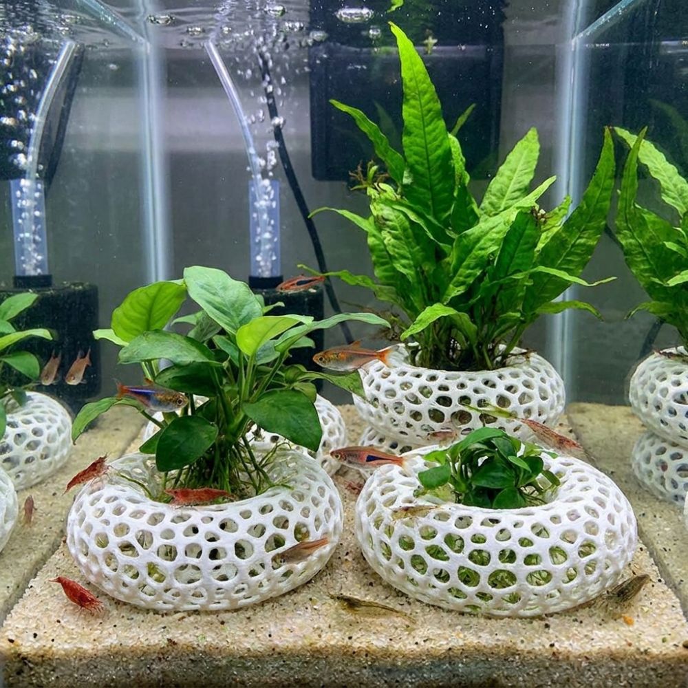 3D Printed Fish Shrimp Hiding  - Planted Aquarium Moss avis et prix