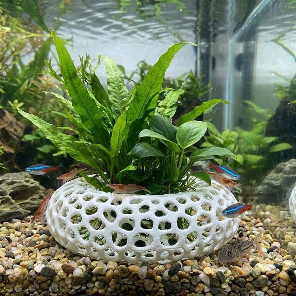 3D Printed Fish Shrimp Hiding  - Planted Aquarium Moss avis et prix